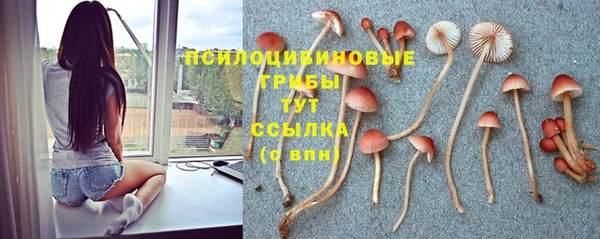 ГАЛЛЮЦИНОГЕННЫЕ ГРИБЫ Красноперекопск