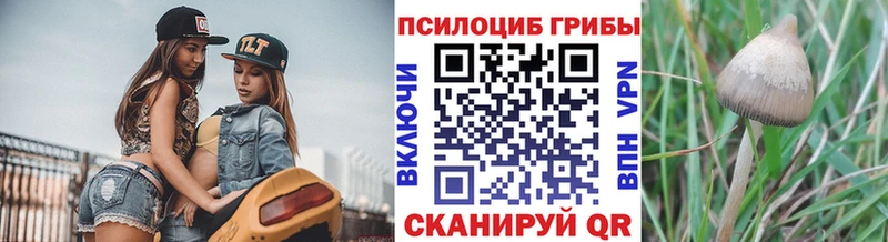 даркнет Telegram  Медвежьегорск  Псилоцибиновые грибы ЛСД 